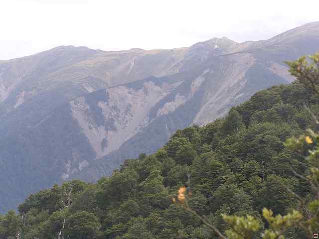 NZ leden-unor 2006 165.jpg